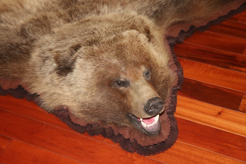 Grizzly Bear Rug P&D International Furtraders
