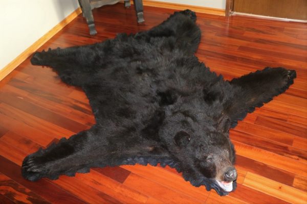 Black Bear Rug C D International, How Much Does It Cost To Have A Bear Skin Rug Made