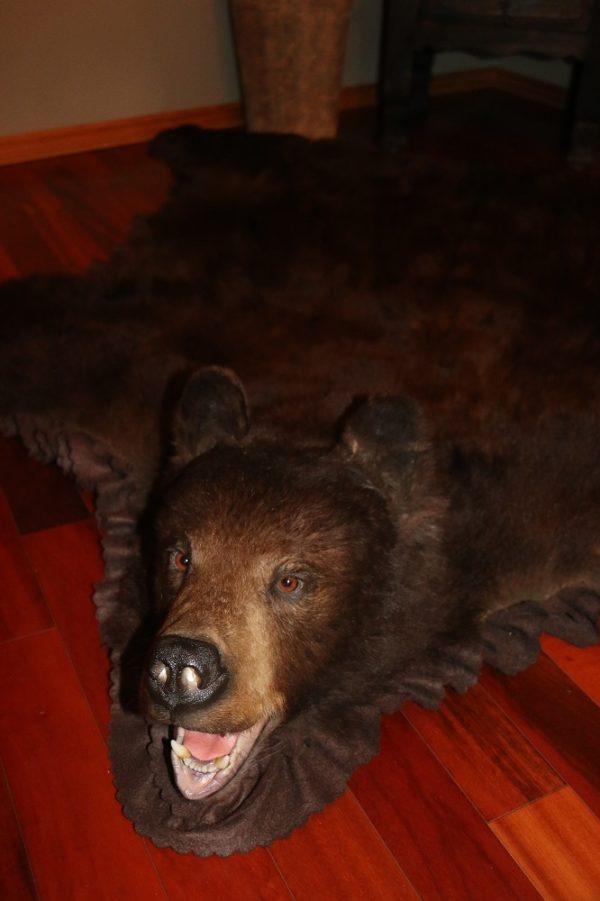 Brown Bear Rug C D International, Cost To Have A Bear Skin Rug Made