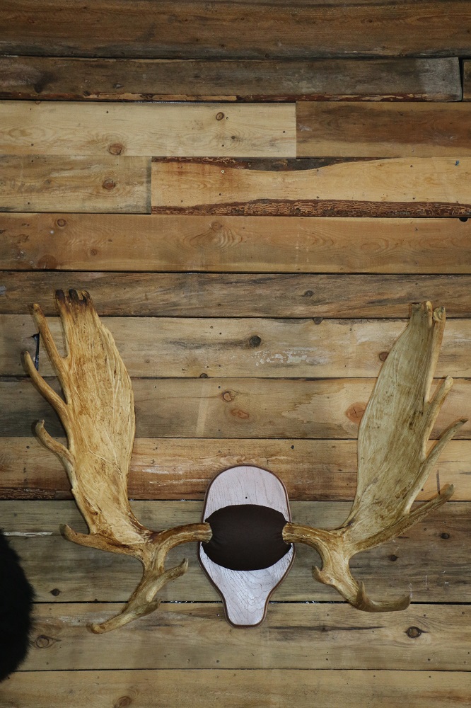 IMG_0007.jpg