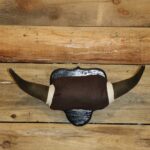 Bison Horns