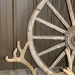Mule Deer Antlers