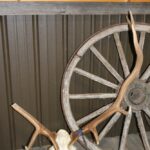 Elk Skull with Antlers