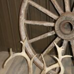 White Tail Deer Antlers