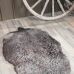 Domestic Sheep Skin