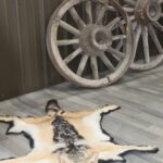 Black Jacked Jackal Rug