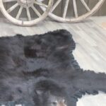 Black Bear Rug