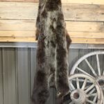 Tanned Grizzly Bear Hide