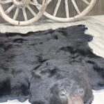 Black Bear Rug