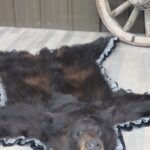Black Bear Rug
