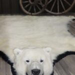 Polar Bear Rug