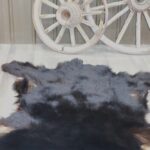 Black Bear Tanned Hide